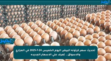 تحديث سعر كرتونة البيض اليوم الخميس 24-7-2025 في المزارع والأسواق.. تعرف على الأسعار الجديدة